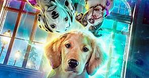 Cachorros Fantasmas (Trailer español)