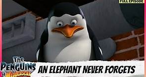 The Penguins of Madagascar | Full Episode | An Elephant Never Forgets