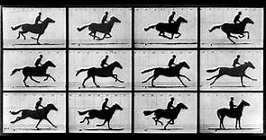 Philip Glass - The Photographer Full Album