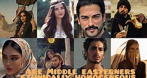 Are Middle Easterners one race/ethnicity.