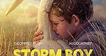 Storm Boy - Il Ragazzo che sapeva volare - Film (2020)
