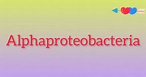 What is Alphaproteobacteria?