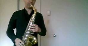 Selmer Bundy II alto saxophone. Amazing sound!