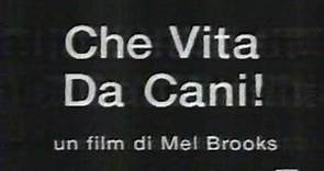 Trailer CHE VITA DA CANI - Mel Brooks - film commedia - Telepiù 3