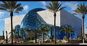 The Dali Museum: An Unparalleled Experience