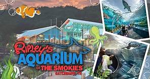 The Ultimate Guide To Ripley's Aquarium Of The Smokies In Gatlinburg TN