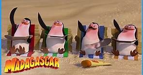 DreamWorks Madagascar | The Very Best Of The Penguins | Madagascar Movie Clip
