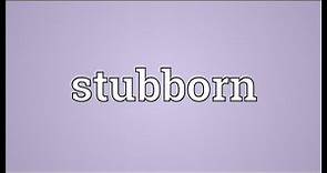 Stubborn Meaning