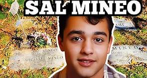 The GRAVE & What HAPPENED To SAL MINEO | Tragic MURDER Of Young STAR