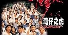 The Tragic Fantasy: Tiger of Wanchai (1994) Online - Película Completa en Español - FULLTV