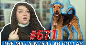 Every Disney Movie Ever: The Million Dollar Collar (or The Ballad of Hector the Stowaway Dog)