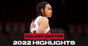 Dalano Banton | 2021-22 Rookie Highlights