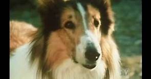 The Holdens Lassie (Season 19 Eps9 A Taste of Freedom)