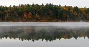 Nature: Walden Pond