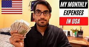 My Monthly Expenses in New York | Cost of Living in USA