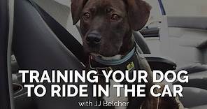 Training Your Dog to Ride in the Car