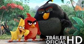 ANGRY BIRDS LA PELÍCULA - Tráiler Oficial EN ESPAÑOL | Sony Pictures España