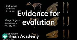 Evidence for evolution | Biology | Khan Academy