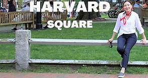 Harvard Square, Cambridge, MA I The vibe and the homes