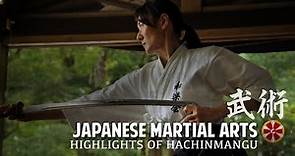 Iaido Demonstration Japanese Sword Martial Arts Highlights