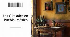 Los Girasoles en Puebla, México