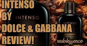 Intenso by Dolce & Gabbana Fragrance / Cologne Review