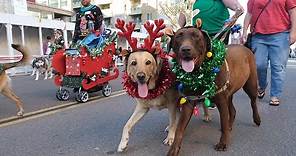 Gaslamp Holiday Pet Parade 2019