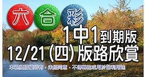 2017/12/21(四)六合彩 mark six 版路欣賞 ：1中1到期版