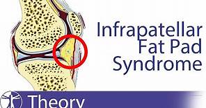 Infrapatellar Fat Pad Syndrome | Hoffa's Fat Pad