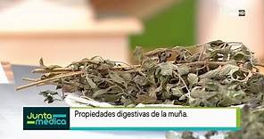 Propiedades de la muña (Vía Junta Médica - TV Perú)