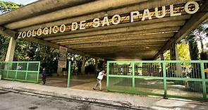 Zoológico de São Paulo: valor dos ingressos e 7 TOP atrações