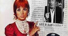 El proxeneta y la testigo (1971) Online - Película Completa en Español - FULLTV