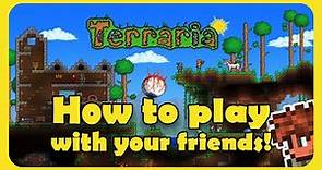How to play with friends in Terraria for FREE.