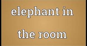 Elephant in the room Meaning