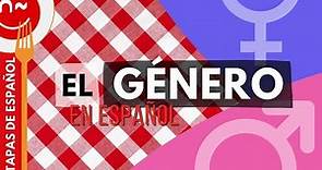 Género masculino y femenino en español - Gender in Spanish