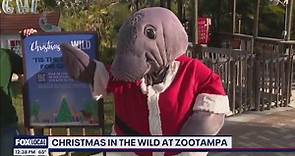 Christmas in the Wild at ZooTampa