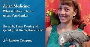 Avian Medicine: What it Takes to be an Avian Veterinarian