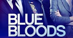 Blue Bloods: Season 9 Episode 21 Identity