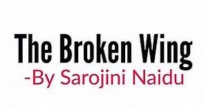 The Broken wing: Poem by Sarojini Naidu Summary Analysis and line by line explanation