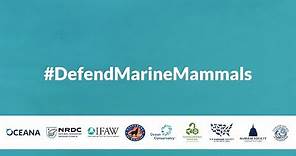 Defend the Marine Mammal Protection Act