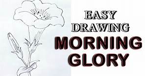 How to Draw a Morning Glory Flower | Easy Drawing Morning Glories Step by Step Tutorial
