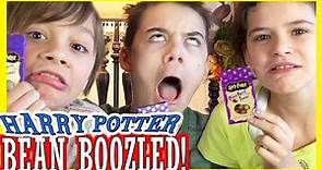 HARRY POTTER BEAN BOOZLED CHALLENGE!! Bertie Bott's Every Flavour Beans! | KITTIESMAMA