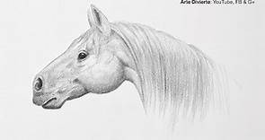 Cómo dibujar una cabeza de caballo - Paso a paso - Fácil