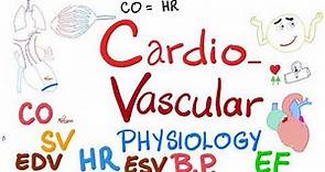 Cardiac Output, Stroke Volume, End systolic & End diastolic volumes, Ejection Fraction