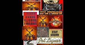 Southern Rock Bands!!!