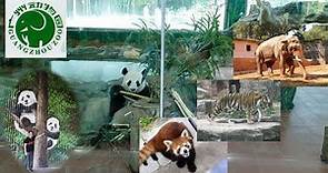 Guangzhou Zoo Tour | Guangdong China