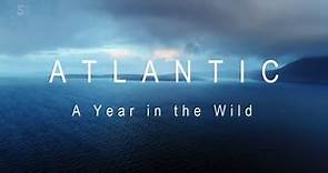 Atlantic.A Year in the Wild S01E01