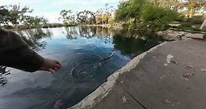 Kenneth Hahn State Park (Bass Fishing)