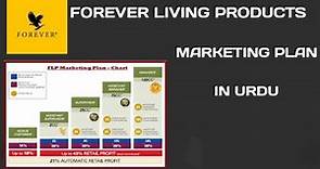 BASIC MARKTING PLAN OF FOREVER LIVING PRODUCTS #flp #foreverlivingproducts #flpindia