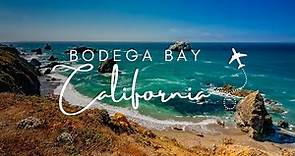 Bodega Bay | California | A Breathtaking Aerial Perspective